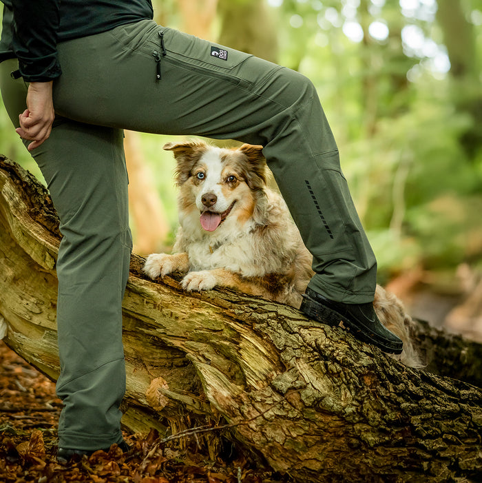 Dog Walker Allround Hose | Regular | Beetle | Auri