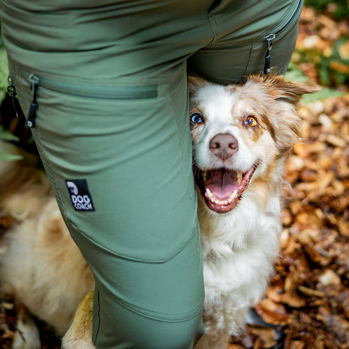 Dog Walker Allround Hose | Regular | Beetle | Auri