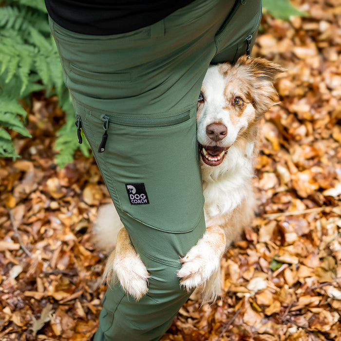 Dog Walker Allround Hose | Regular | Beetle | Auri