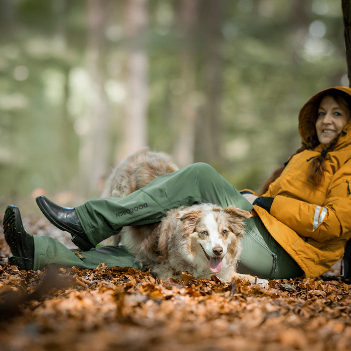 Dog Walker Allround Hose | Regular | Beetle | Auri