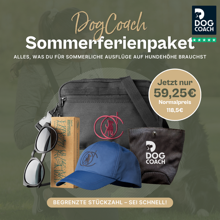 Sommerferienpaket (begrenzte Stückzahl)