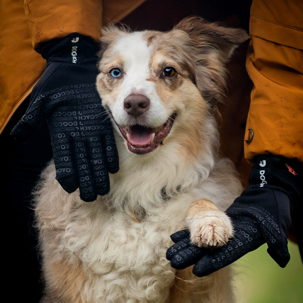 DogCoach Allround Leckerli-Handschuhe | Unisex | Schwarz