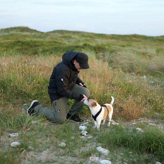 Dog Walker Allround Hose | Regular | Beetle | Auri