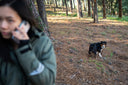 Be present with your dog: Put your phone away and experience the moment
