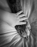 Båndet mellem hund & børn