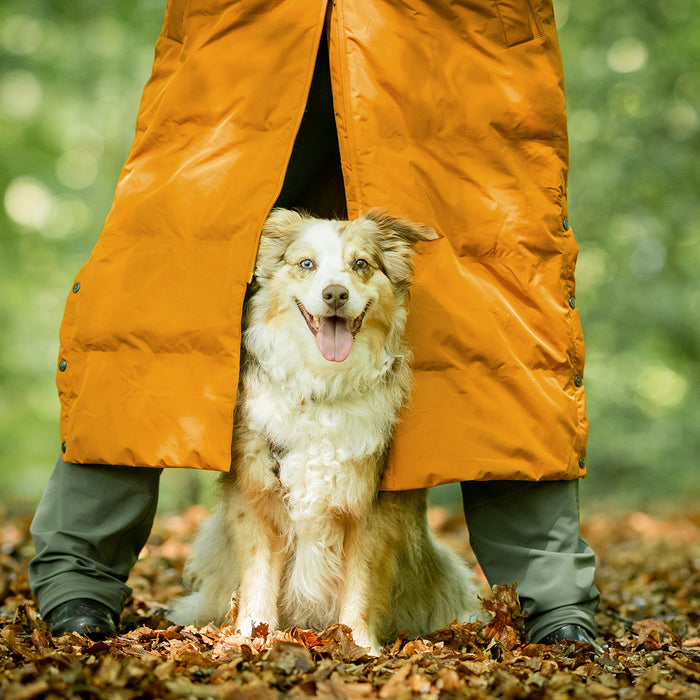 KeepDry Dog Walker Mantel | Mustard | Dorthea
