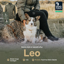 FeelFree Dog Walker Zip Jacket | Beetle | Leo