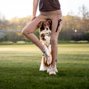 FeelFree Hundehalter Tights 2.0 I Mocca I Millicent