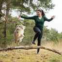 FeelFree Hundehalter Tights 2.0 I Schwarz I Cosmo