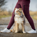 FeelFree Hundehalter Tights 2.0 I Rosso I Saga