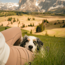 FeelFree Hundehalter Tights 2.0 I Mocca I Millicent