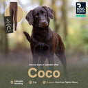 FeelFree Dog Walker Tights | Bison | Coco