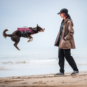 Pack&Carry Shell Jacket 2.0 | Mokka | OkiDoki
