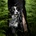 Pack&Dry Quick Zip Hose I Schwarz I Mateo