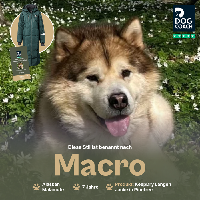 KeepDry Dog Walker Mantel | Pinetree | Macro