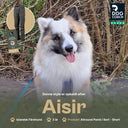 Allround bukser | Kort længde | Sort  | Aisir