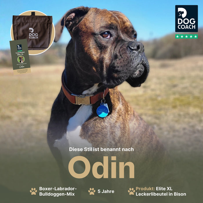 DogCoach Leckerlibeutel | Elite | XL | Bison | Odin
