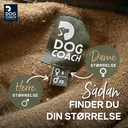 Teddy | Unisex I Beetle | Saola