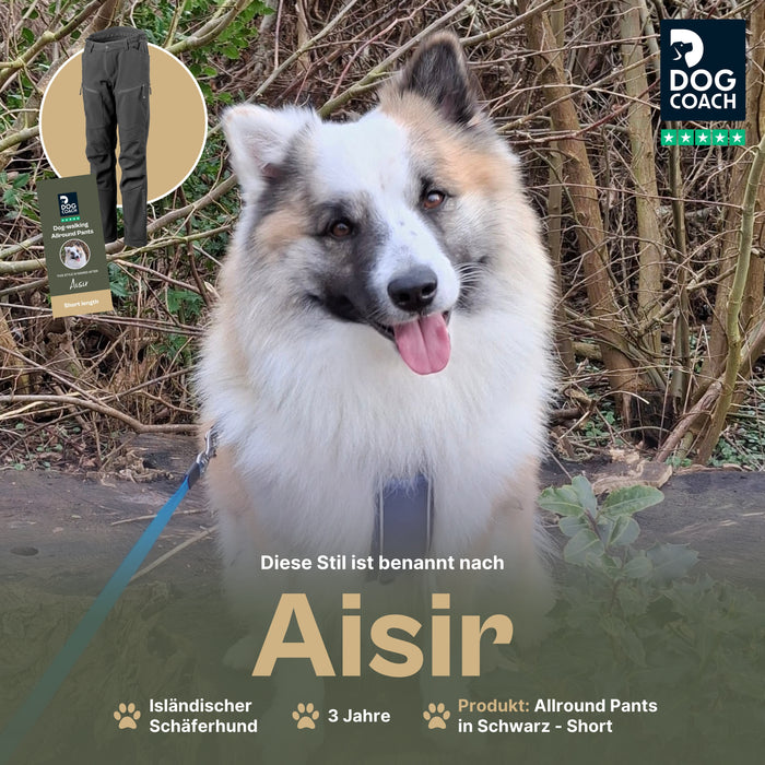 Dog Walker Allround Hose | Short | Schwarz | Aisir