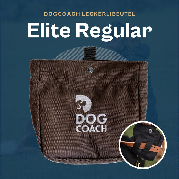 DogCoach Leckerlibeutel | Elite | Regular | Bison | Natz