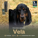 Allround bukser | Normal længde | Sort  | Vela