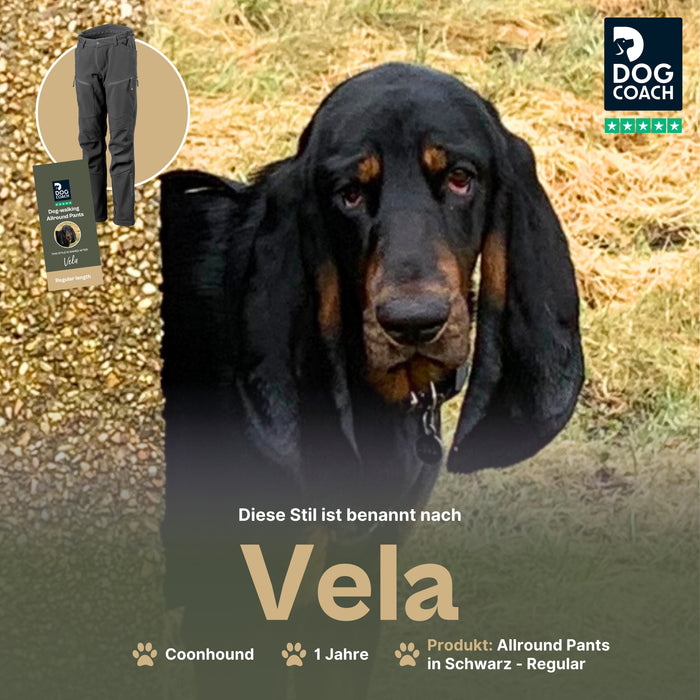 Dog Walker Allround Hose | Regular | Schwarz | Vela