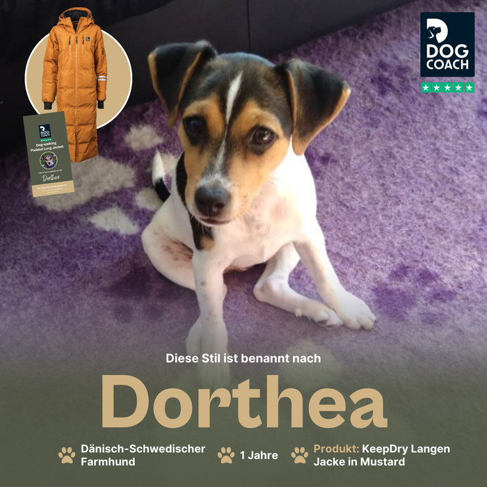 KeepDry Dog Walker Mantel | Mustard | Dorthea