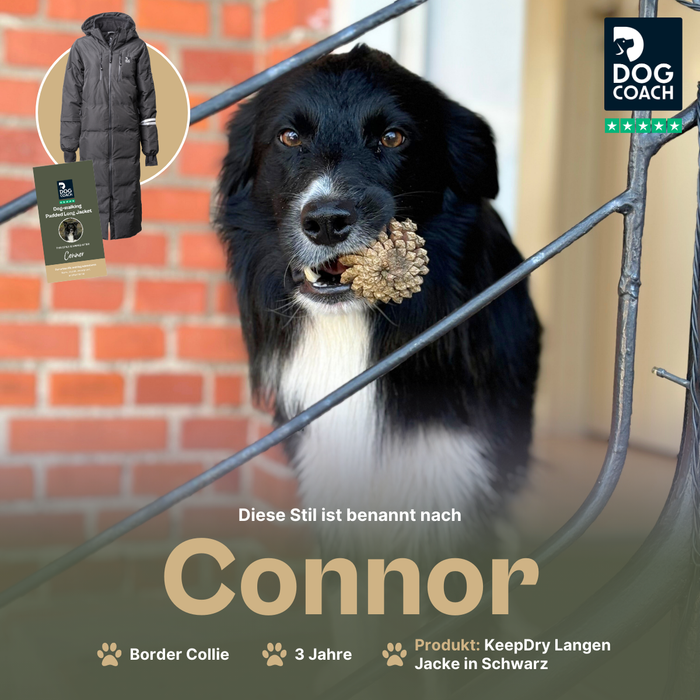 KeepDry Dog Walker Mantel | Schwarz | Connor