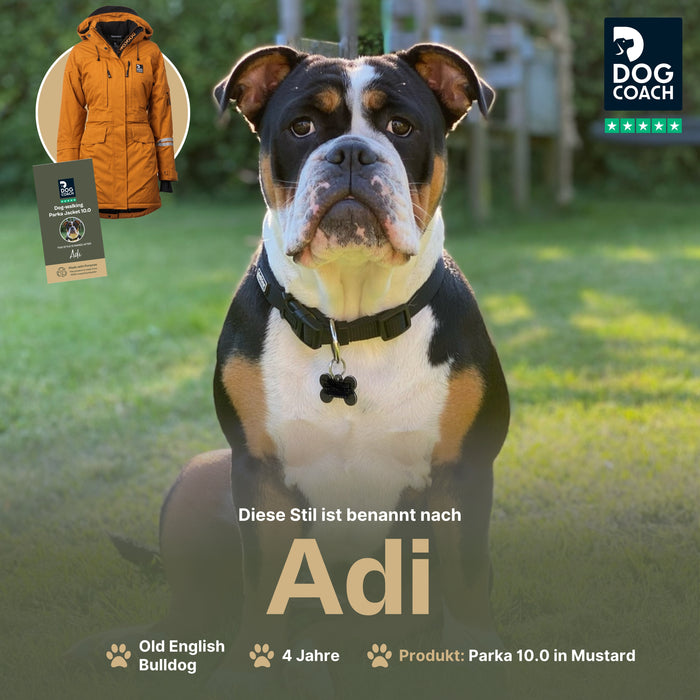 Parka Jacke 10.0 | Winter | Mustard | Adi