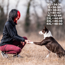 FeelFree Hundehalter Tights 2.0 I Rosso I Saga