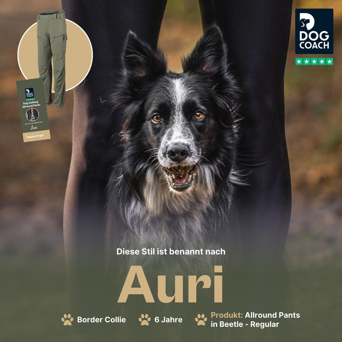 Dog Walker Allround Hose | Regular | Beetle | Auri