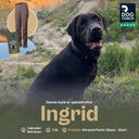 Allround bukser | Kort længde | Bison | Ingrid