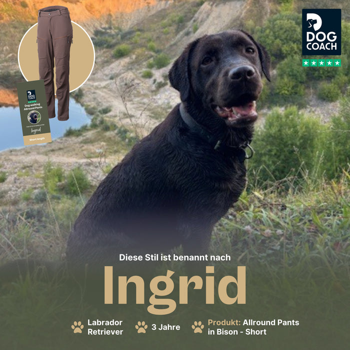Dog Walker Allround Hose | Short | Bison | Ingrid