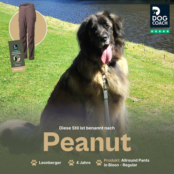 Dog Walker Allround Hose | Regular | Bison | Peanut