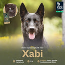 DogCoach Godbidslomme | Hobby | Regular | Bison | Xabi