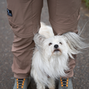 Unisex 2-in-1 Summer Zip-Off Shellhose I Mocca I Normale Länge I Trine