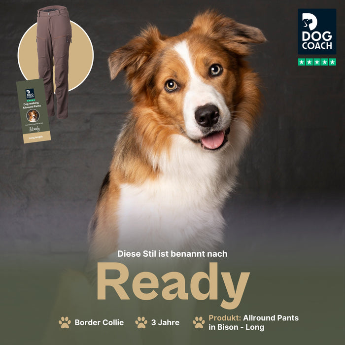 Dog Walker Allround Hose | Long | Bison | Ready