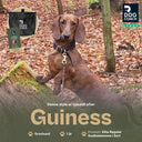 DogCoach Godbidslomme | Elite | Regular | Sort | Guinness