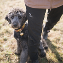 Unisex Shellhose 2.0 I Schwarz I Kurze Länge I Trixie