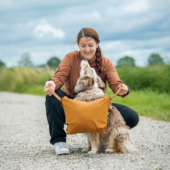 KeepDry Dog Walker Mantel | Mustard | Dorthea