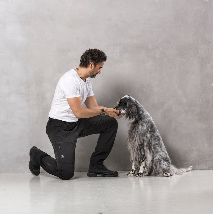 Dog Walker Allround Hose | Short | Schwarz | Aisir