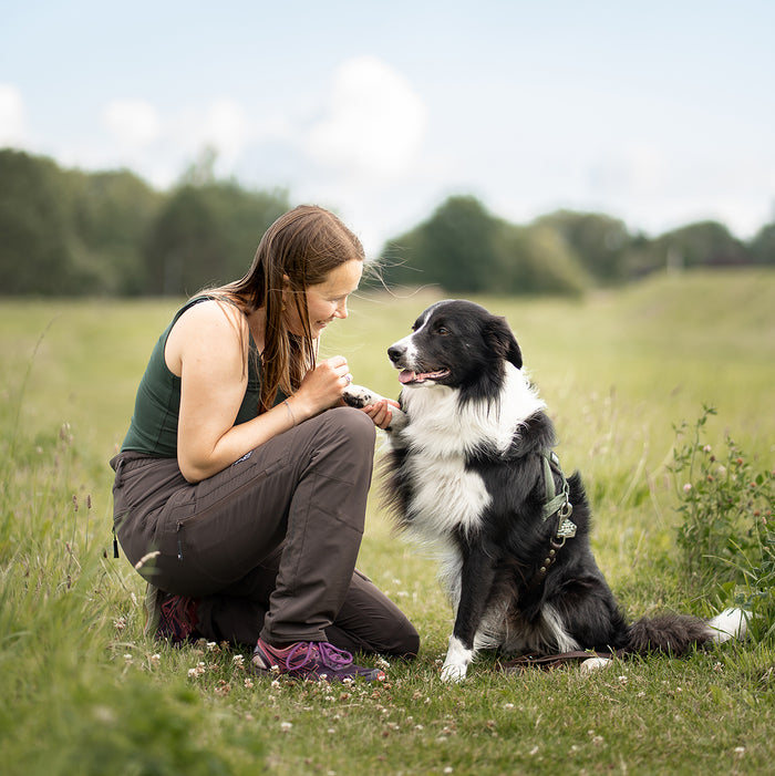 Dog Walker Allround Hose | Regular | Bison | Peanut