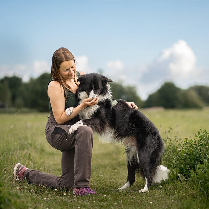 Dog Walker Allround Hose | Regular | Bison | Peanut