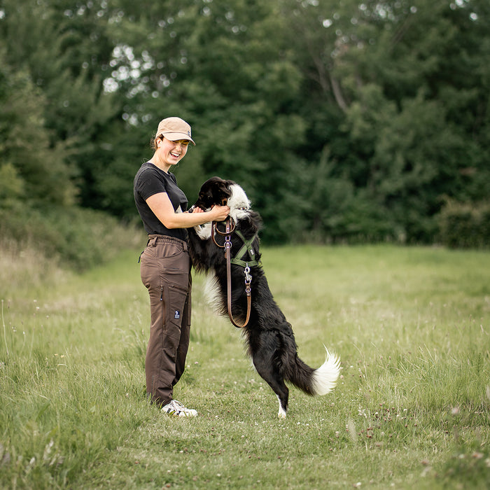 Dog Walker Allround Hose | Regular | Bison | Peanut