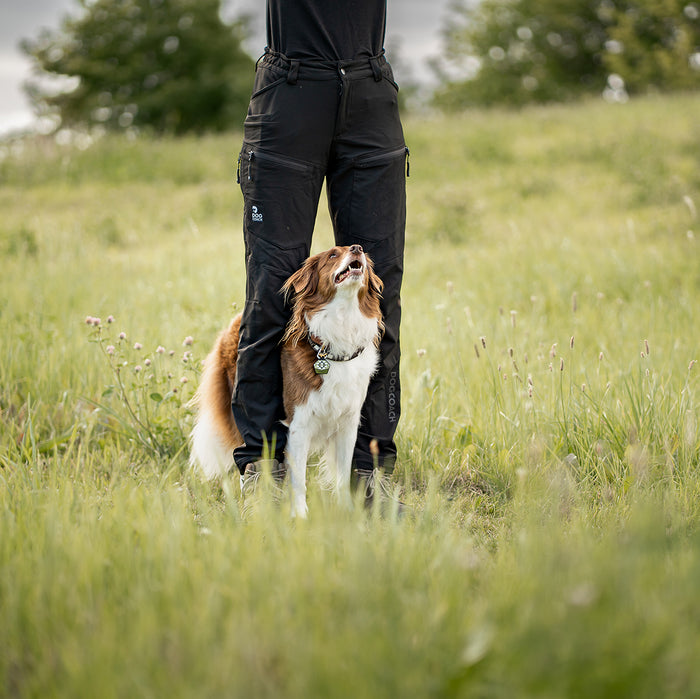 Dog Walker Allround Hose | Short | Schwarz | Aisir