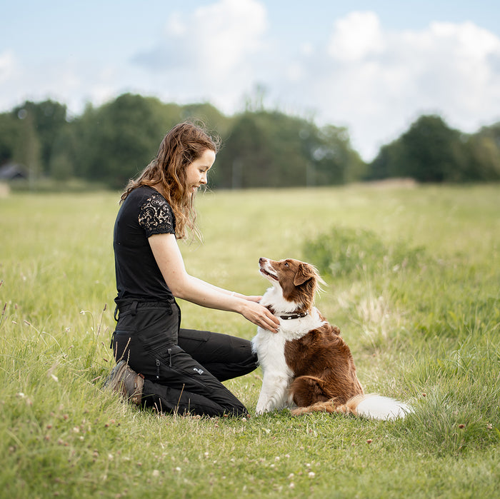 Dog Walker Allround Hose | Short | Schwarz | Aisir