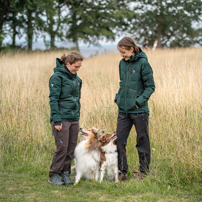 Dog Walker Allround Hose | Short | Schwarz | Aisir