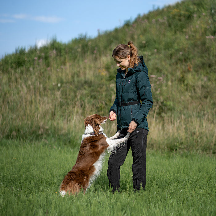 Dog Walker Allround Hose | Short | Schwarz | Aisir