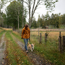 KeepDry Overgangsjakke 2.0 | Mustard | Splinter