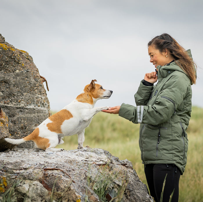 DogCoach KeepDry Jacket | Beetle | Senna